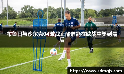 布鲁日与沙尔克04激战正酣谁能在欧战中笑到最后